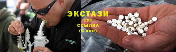 стаф Алексин