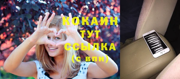сатива Абаза