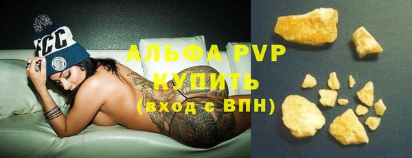 стаф Алексин