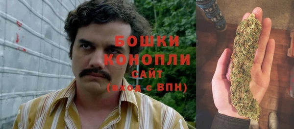 jwh Алзамай